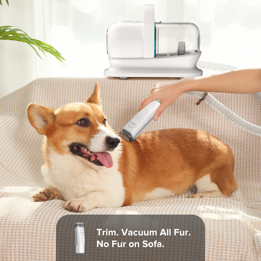 Airbot Pet Vacuum P1